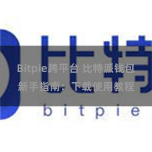 Bitpie跨平台 比特派钱包新手指南：下载使用教程