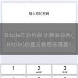 Bitpie在线客服 比特派钱包(Bitpie)的官方教程在哪里？