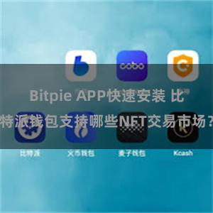 Bitpie APP快速安装 比特派钱包支持哪些NFT交易市场？
