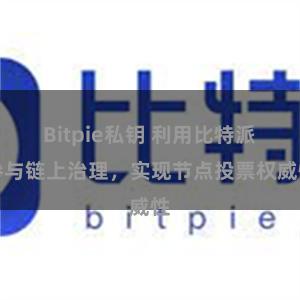 Bitpie私钥 利用比特派参与链上治理，实现节点投票权威性
