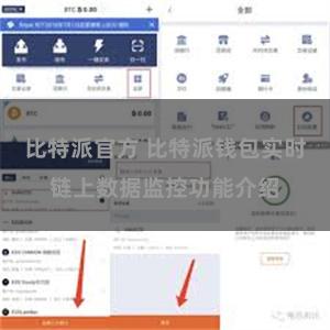 比特派官方 比特派钱包实时链上数据监控功能介绍