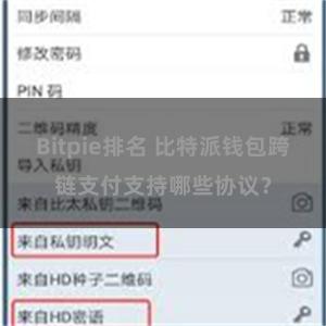 Bitpie排名 比特派钱包跨链支付支持哪些协议？