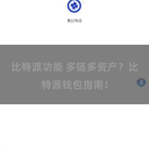 比特派功能 多链多资产？比特派钱包指南！