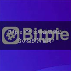 Bitpie iOS 比特派钱包适合小型投资者吗？