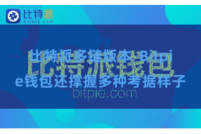 比特派多链版本  Bitpie钱包还撑握多种考据样子
