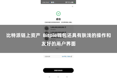 比特派链上资产 Bitpie钱包还具有肤浅的操作和友好的用户界面