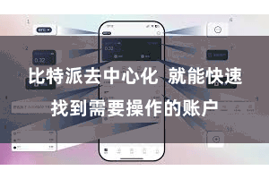 比特派去中心化  就能快速找到需要操作的账户