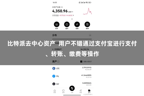 比特派去中心资产 用户不错通过支付宝进行支付、转账、缴费等操作
