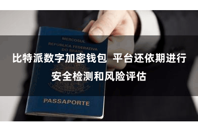 比特派数字加密钱包  平台还依期进行安全检测和风险评估