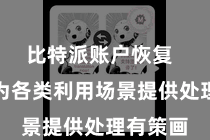 比特派账户恢复  还不错为各类利用场景提供处理有策画