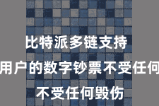 比特派多链支持  确保用户的数字钞票不受任何毁伤