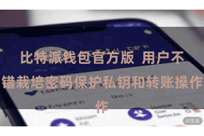 比特派钱包官方版  用户不错栽培密码保护私钥和转账操作