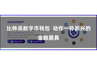 比特派数字币钱包  动作一种新兴的金融器具